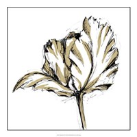 Framed Tulip Sketch III
