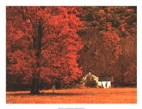 Framed Farm House on a Autumn Morn'