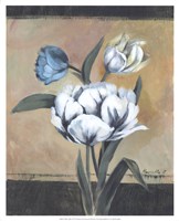 Framed White Tulips I