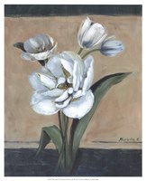 Framed White Tulips II