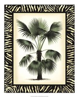 Framed Palm in Zebra Border II