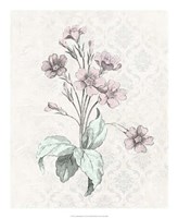 Framed Victorian Blooms IV