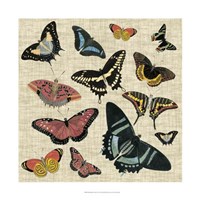 Framed Butterflies & Linen II
