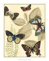 Framed Graphic Butterflies in Nature I
