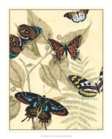 Framed Graphic Butterflies in Nature II