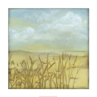 Framed Through the Wheatgrass I