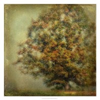 Framed Autumn's Dream