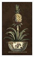 Framed Potted Pineapple II