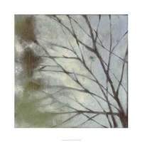 Framed Diffuse Branches I