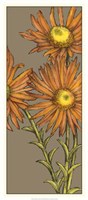 Framed Graphic Flower Panel I