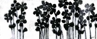 Framed Black Flowers on White I