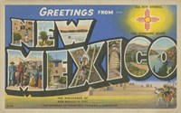 Framed Greetings from New Mexico