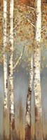 Framed Butterscotch Birch Trees I