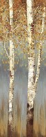 Framed Butterscotch Birch Trees II