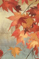 Framed Maple Leaves II
