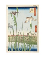 Framed Irises at Horikiri, 1857