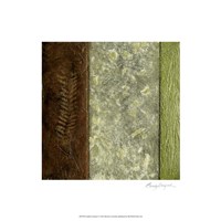 Framed Earthen Textures I