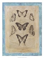 Framed Bookplate Butterflies III