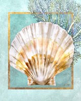 Framed Scallop Shell and Coral