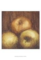 Framed Rustic Apples II