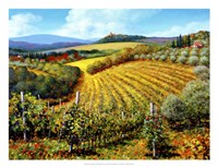 Framed Chianti Vineyards