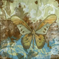 Framed Rustic Butterfly II