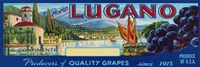 Framed 2-Up Vintage Wine Label III