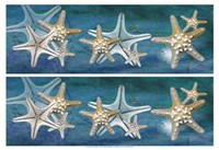 Framed 2-Up Starfish