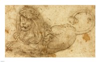 Framed Study of a Lion