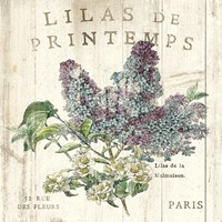 Framed Lilas de Printemps