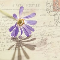 Framed 'Vintage Letter and Purple Daisy' border=