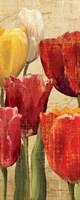 Framed Tulip Fantasy on Cream III
