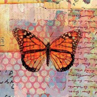 Framed 'Homespun Butterfly IV' border=