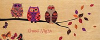 Framed Good Night Owl