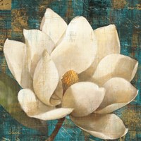 Framed Magnolia Blossom Turquoise