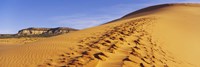 Framed Sand dunes in the desert, Coral Pink Sand Dunes State Park, Utah, USA