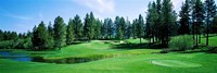 Framed Golf course, Edgewood Tahoe Golf Course, Stateline, Douglas County, Nevada, USA