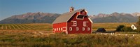Framed Barn in a field with a Wallowa Mountains in the background, Enterprise, Wallowa County, Oregon, USA