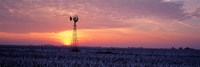 Framed Windmill Cornfield Edgar County IL USA