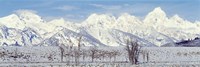 Framed Grand Teton Range in winter, Wyoming, USA