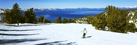 Framed Tourist skiing in a ski resort, Heavenly Mountain Resort, Lake Tahoe, California-Nevada Border, USA