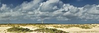 Framed Clouds over the beach with California Lighthouse in the background, Aruba