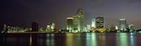 Framed Miami Skyline at Night
