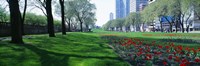 Framed Public Gardens, Loop, Cityscape, Grant Park, Chicago, Illinois, USA