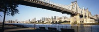 Framed Queensboro Bridge Over East River, Manhattan