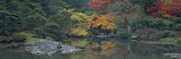 Framed Pond view in the Japanese Garden Seattle WA