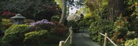 Framed Plants in a garden, Japanese Tea Garden, San Francisco, California, USA