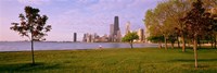 Framed Trees in a park with lake and buildings in the background, Lincoln Park, Lake Michigan, Chicago, Illinois, USA