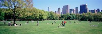 Framed Group Of People In A Park, Sheep Meadow, Central Park, NYC, New York City, New York State, USA