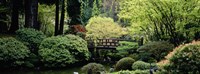 Framed Panoramic view of a garden, Japanese Garden, Washington Park, Portland, Oregon